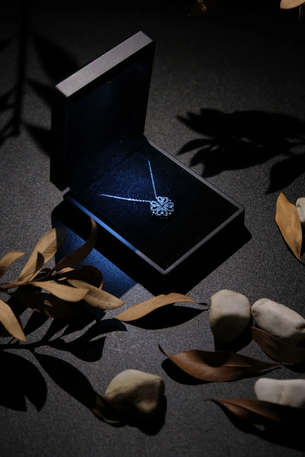 LINIE — Collier